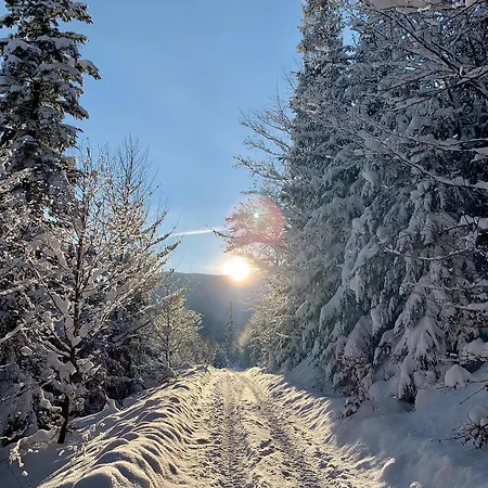 Гостевой дом Romanka