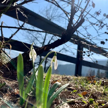 Гостевой дом Romanka Zabnica