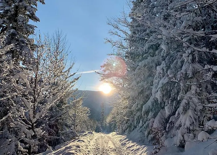בית הארחה Romanka