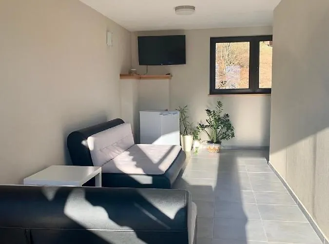 招待所 Romanka 3*