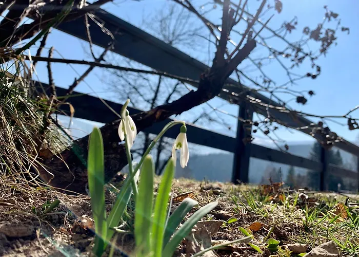 Penzion Romanka Zabnica